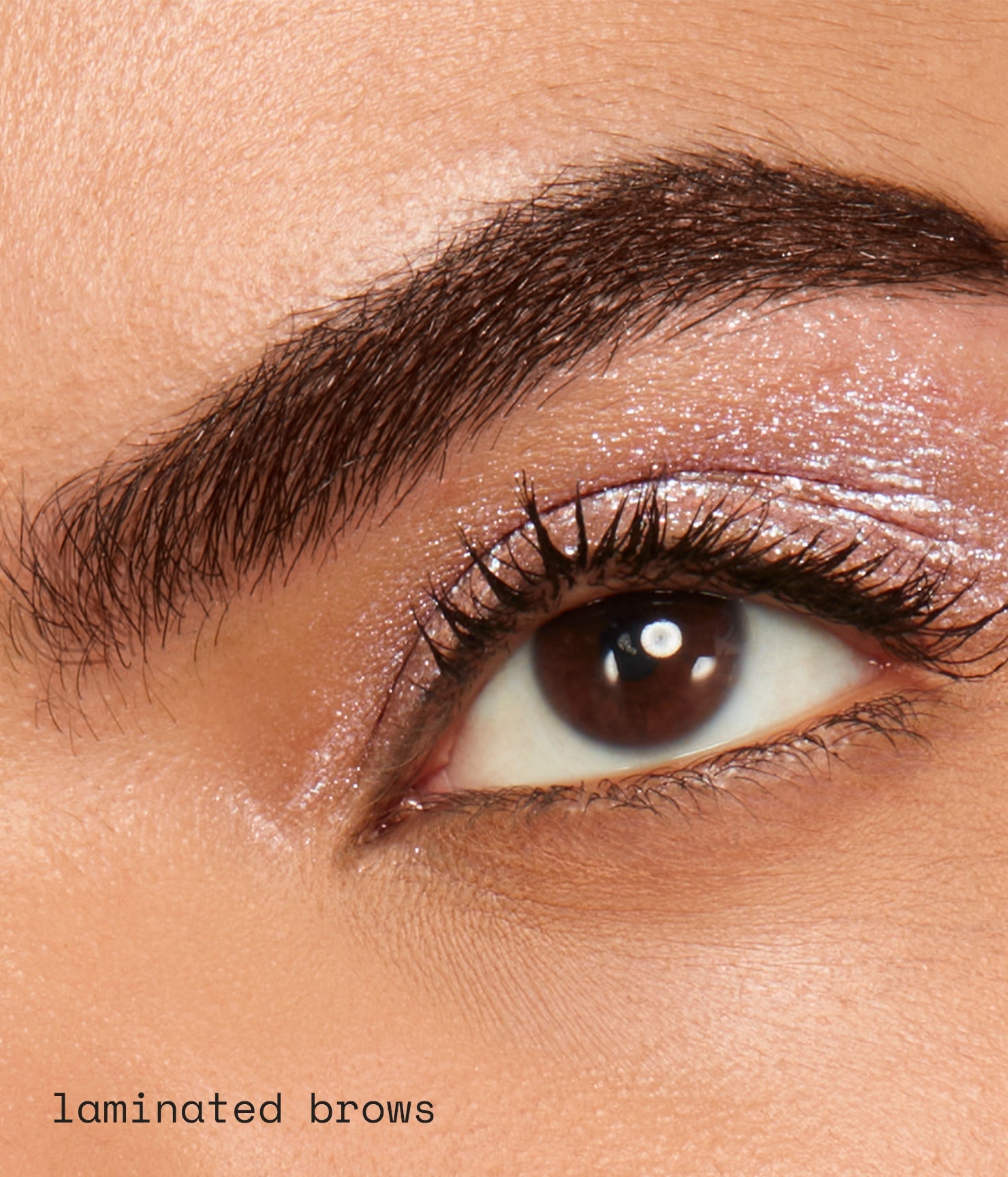 brow gel