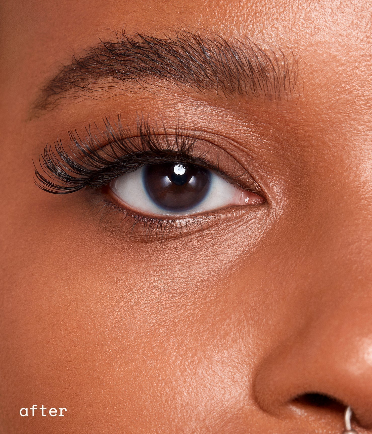 dream lashes