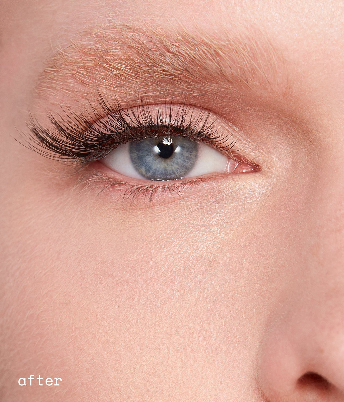 dream lashes
