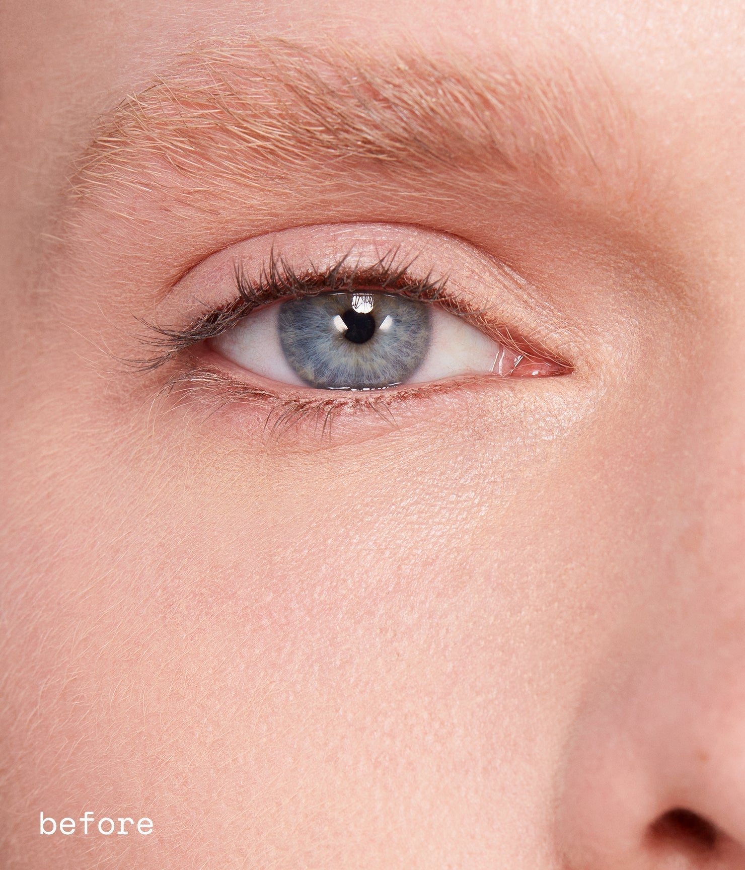 dream lashes