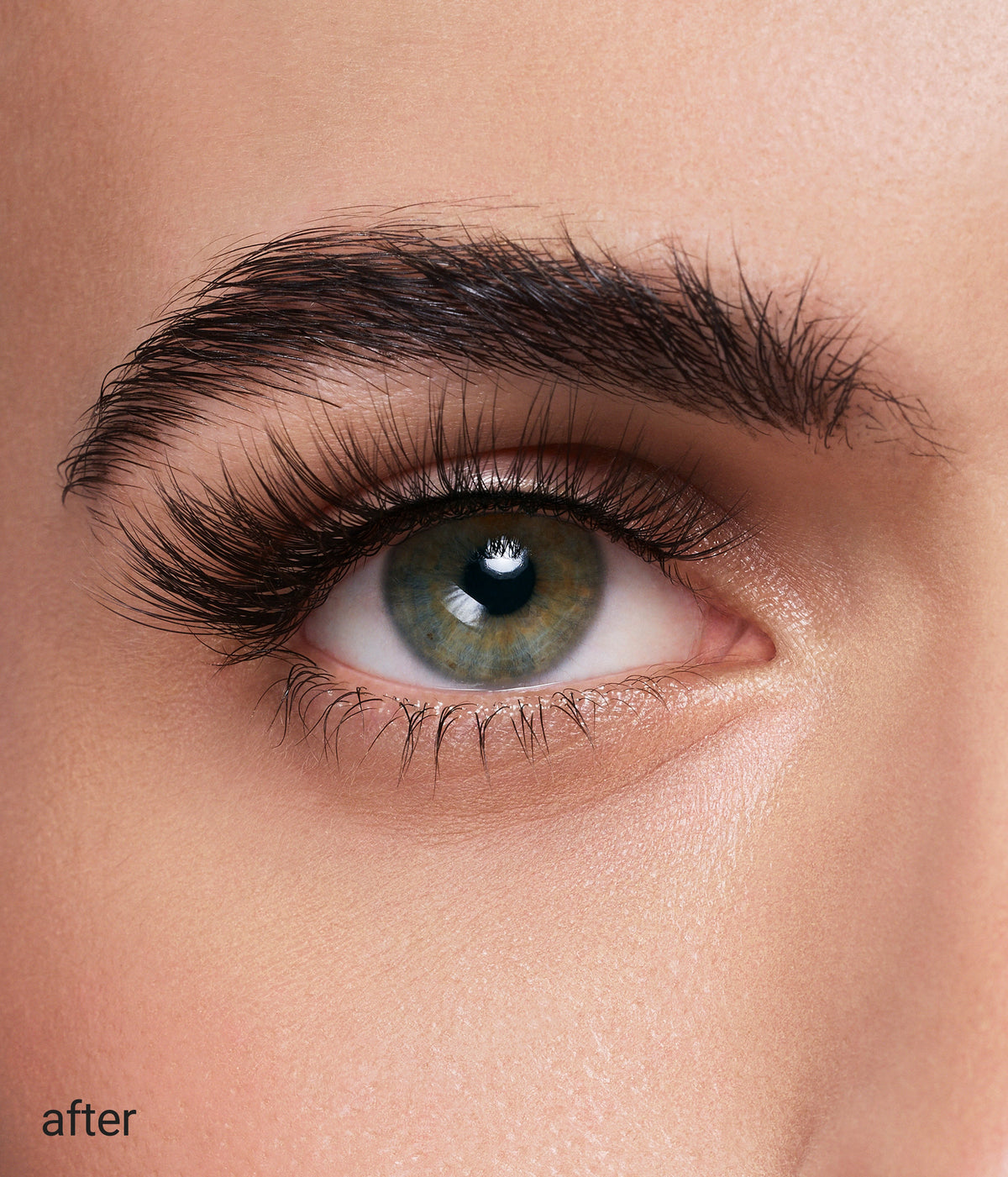 dream lashes